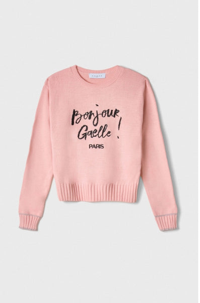 GAELLE PARIS Pullover In Maglia Rasata Con Ricamo Sul Davanti •rosa GAABW07266